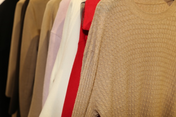 “絲駝”又一鐘情于駝絨產(chǎn)業(yè)的企業(yè)，綻放2023intertextile