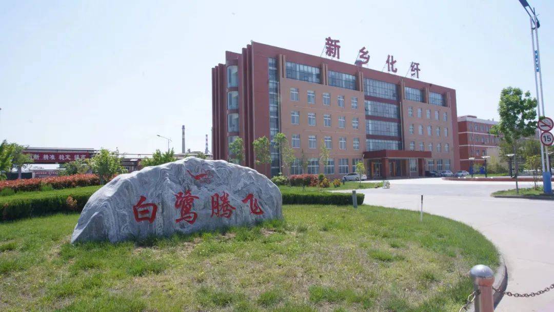 以草代木、天然抗菌、可自然降解，新鄉(xiāng)化纖開創(chuàng)新的“傳奇”——菌草纖維 