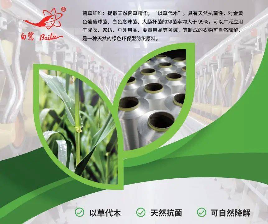 以草代木、天然抗菌、可自然降解，新鄉(xiāng)化纖開創(chuàng)新的“傳奇”——菌草纖維 